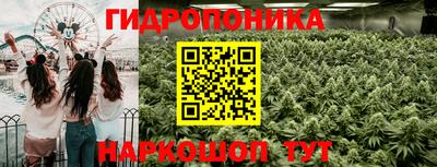 трава Пенза