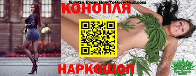 тгк Партизанск