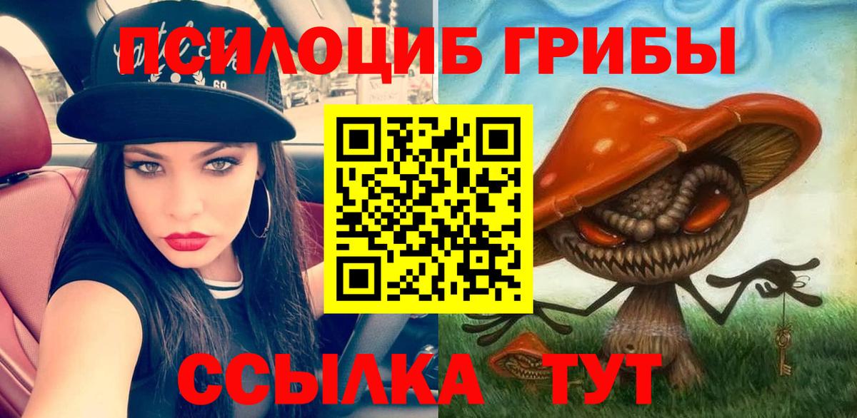 Тольятти  Галлюциногенные грибы ЛСД  купить   Галлюциногенные грибы мухоморы  Вход с VPN 